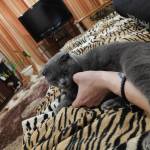 Miks Profile Picture