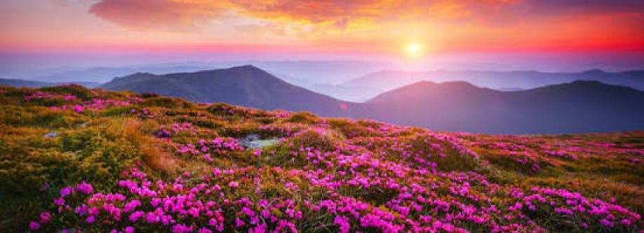 Oleg Hlossre Cover Image