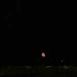 wassup888 Profile Picture